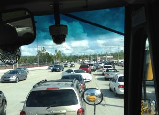 Flocking to the warmth, snowbirds on the way