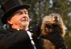 Groundhog’s Day 2018