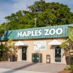Naples-Zoo-at-Caribbean-Gardens-Naples-Florida