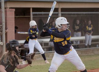 Coaching change for softball team