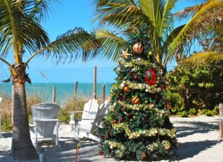 Holiday traditions among NHS students