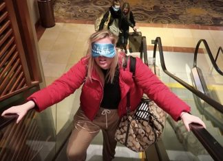 Bird Box challenge takes over the internet