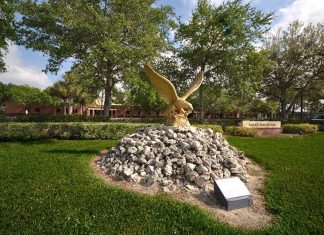 Tips For The Beginning Of The Third Quarter