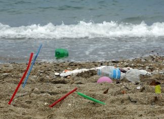Moving plastics out of the oceans: Two Part Commentary