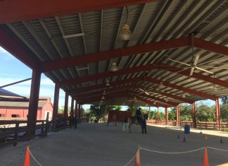 Volunteer opportunities with the Therapeutic Riding Center