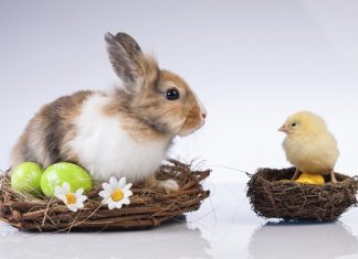 Easter eggs and a long weekend