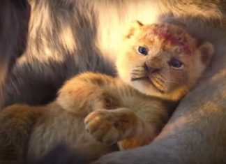 Lion King for the come back