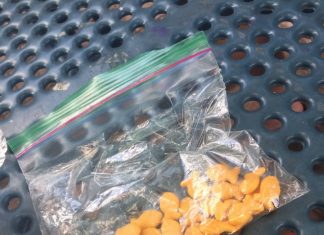 Snack favorites among NHS students