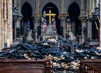 What is being done to support the burning of the Notre Dome