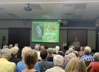 Night owl adventures