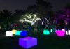Night Lights at the Naples Botanical Garden