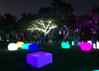 Night Lights at the Naples Botanical Garden