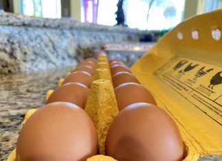 Benefits of breakfast before school