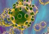 Tips for staying safe from the coronavirus