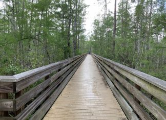 Exercising during quarantine