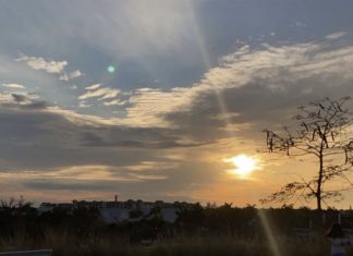 Semester 1 Recovery: Stress Relieving Ideas