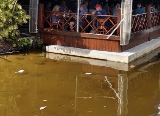 Red tide’s affects on Collier County residents