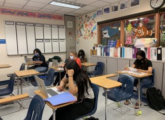 What are students’ opinions on the NFL playoffs and the Super Bowl?