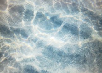 Red tide’s effects on the economy and community