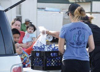 Summer volunteering: Places that offer fun activities for community service hours