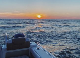 Summer plans: Expectations vs. Reality