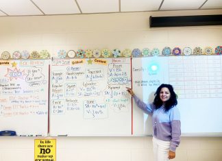 Personality Profile: Lisa Stanfill, geometry teacher