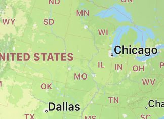 NHS students’s plans for spring break