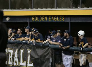 Are you excited for Baseball season?