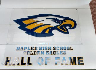 A look at the NHS Hall of Fame