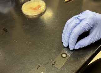 Course Spotlight: Principles of Biomedical Sciences, a new class at NHS