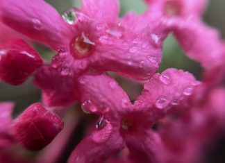 High School Relationships