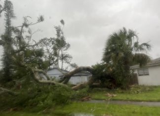How have Collier County Public School buildings been affected by Hurricane Ian?