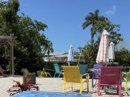 Coffee Column: Bean to Cup