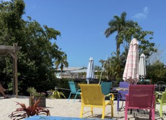 Coffee Column: Bean to Cup