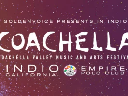 Glimpse of Coachella 2023 Outfits