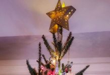 Real vs. Fake Christmas Trees